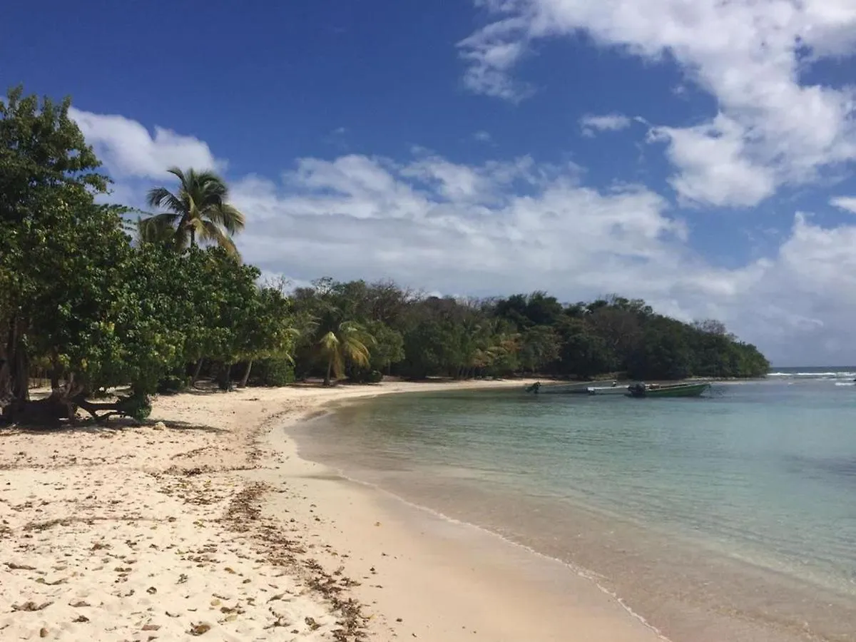 VILLA O'KALM - Le Gosier Le Gosier (Grande-Terre)